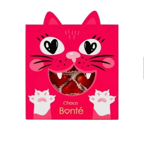 Bonboniéra MAčKA- 6 praliniek v bielej čokoláde 55g